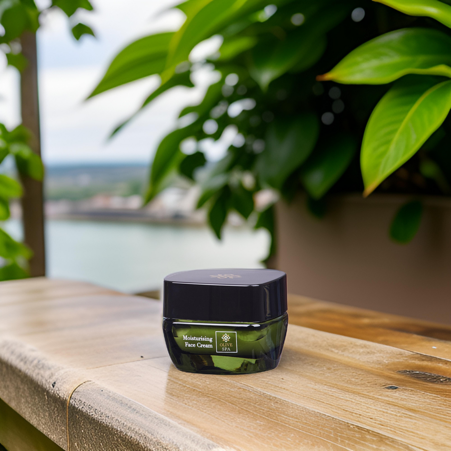 Moisturising face cream Aloe Vera